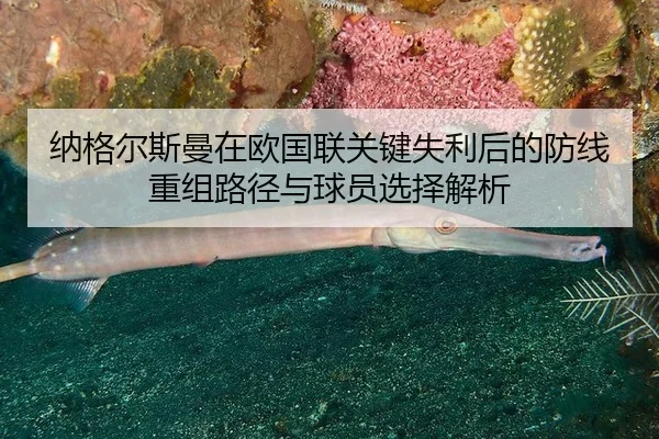 na-ge-er-si-man-zai-ou-guo-lian-guan-jian-shi-li-hou-de-fang-xian-chong-zu-lu-jing-yu-qiu-yuan-xuan-ze-jie-xi-2-189.jpg