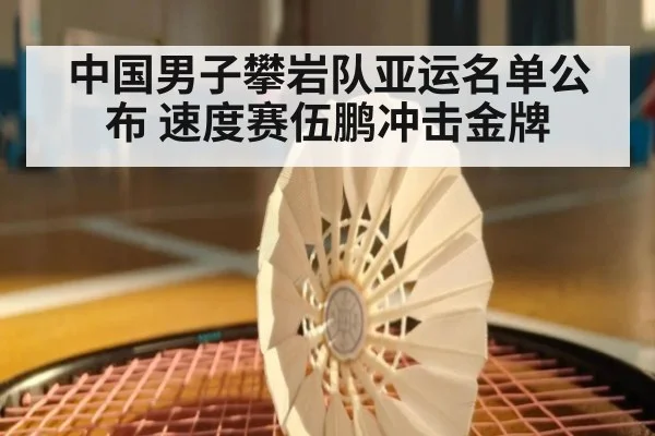 中国男子攀岩队亚运名单公布 速度赛伍鹏冲击金牌
