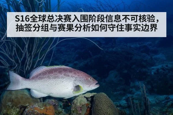 S16全球总决赛入围阶段信息不可核验，抽签分组与赛果分析如何守住事实边界